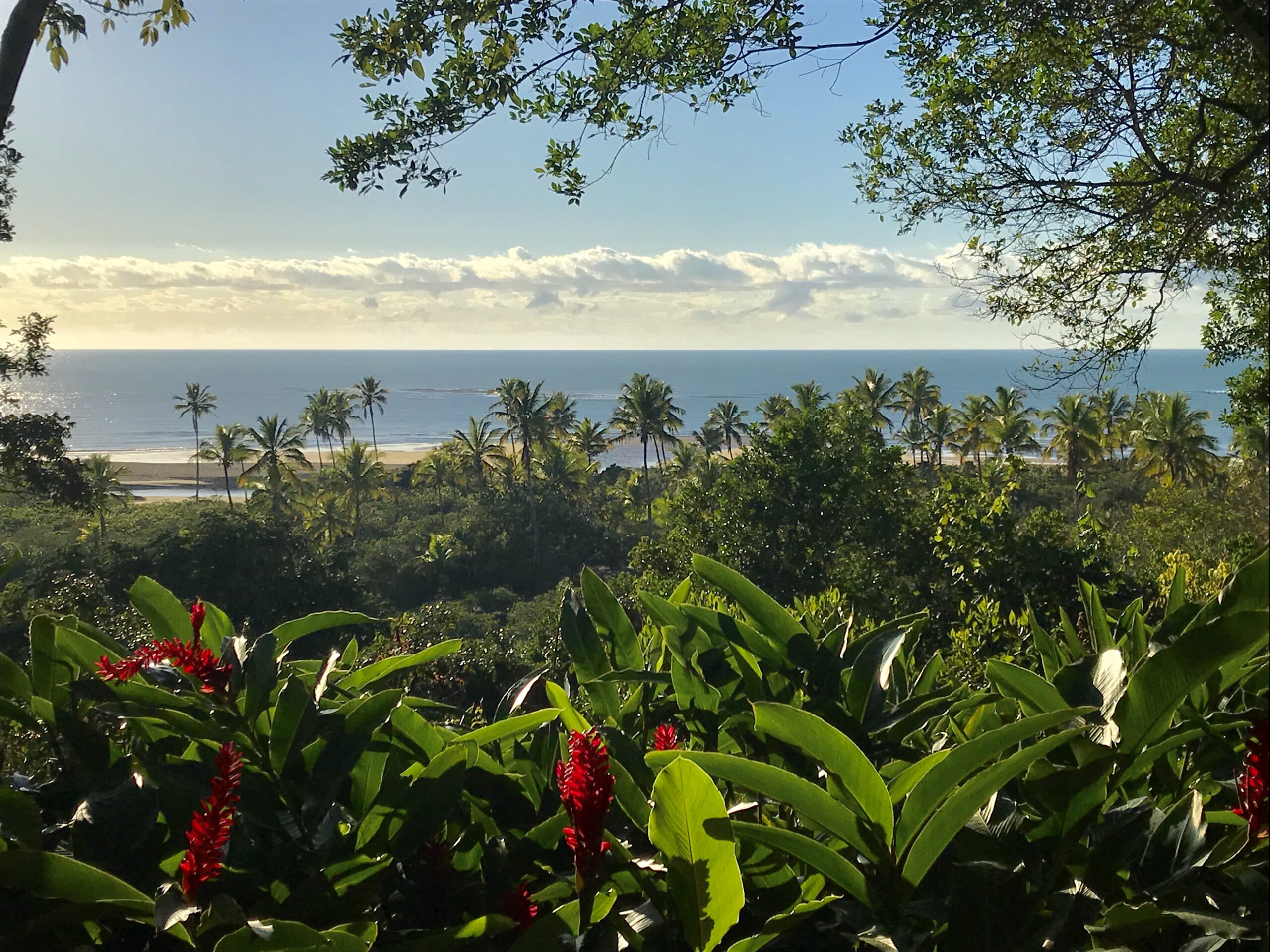 Aluguel casa de luxoTrancoso Villa 27