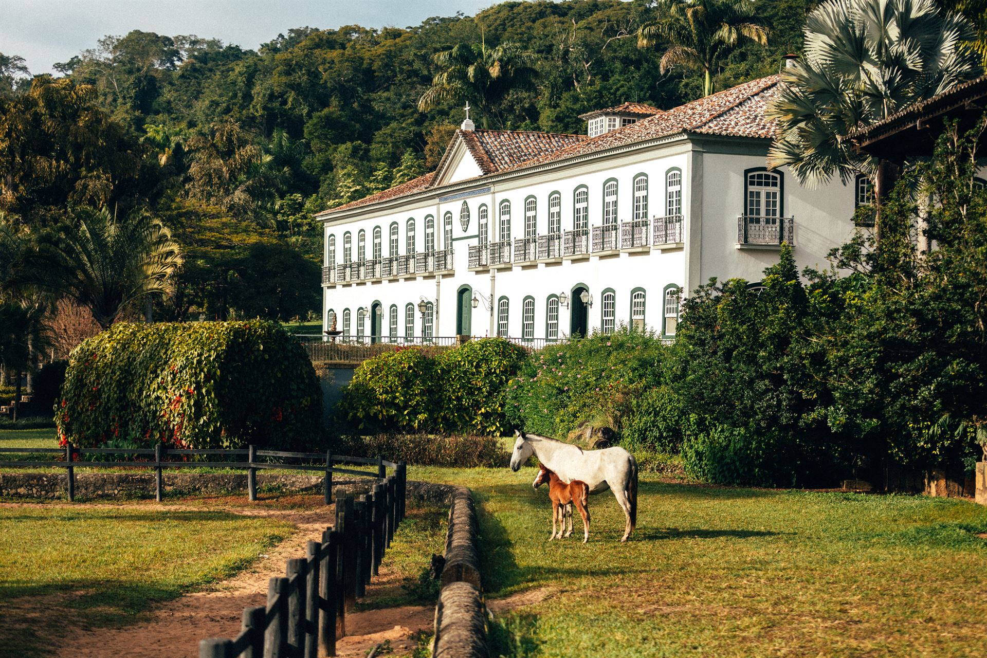 Aluguel casa de luxoSerra Fluminense, Villa 10