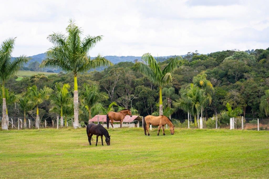 Aluguel casa de luxoCotia Villa 10