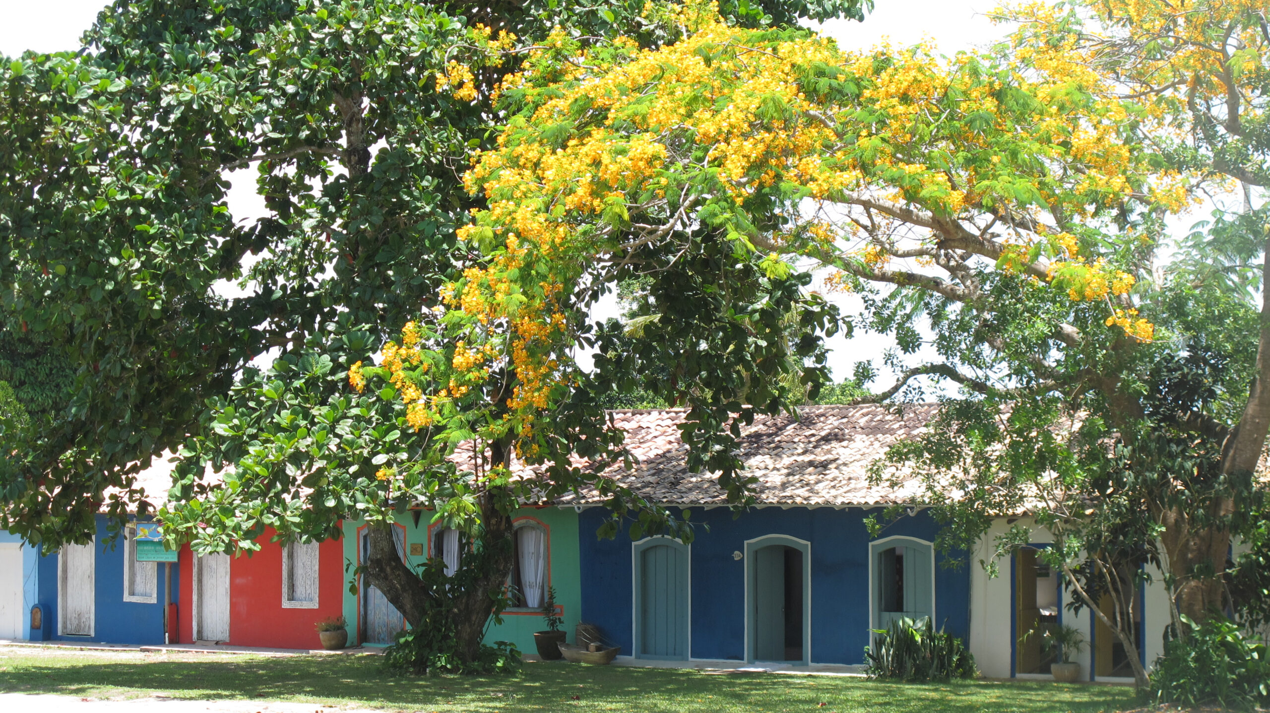 Aluguel casa de luxoTrancoso